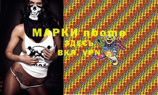 гидропоника Дегтярск