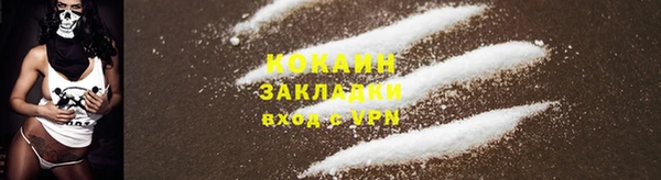 гидропоника Дегтярск