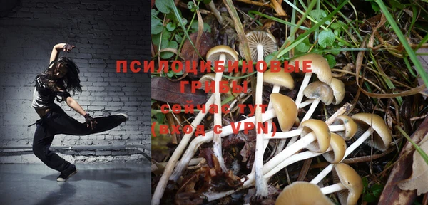 бошки Дедовск