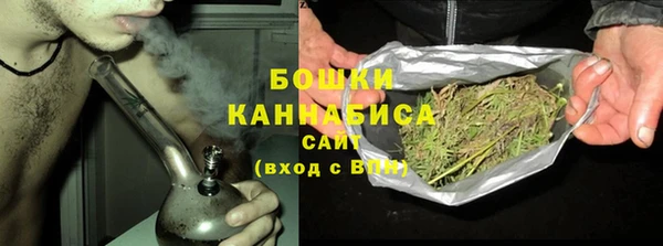 гидропоника Дегтярск
