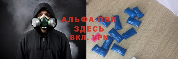 PSILOCYBIN Данков