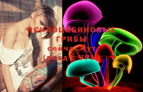 PSILOCYBIN Данков