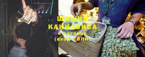 гидропоника Дегтярск
