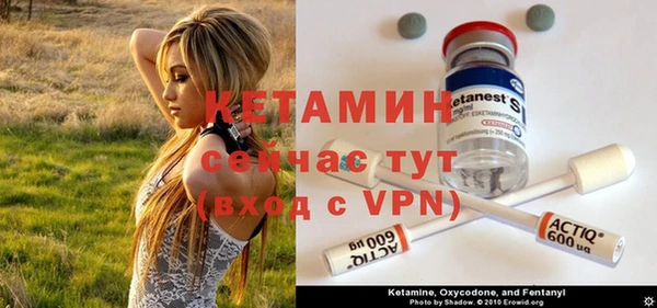 сатива Грязи
