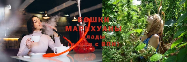 гидропоника Дегтярск