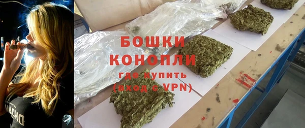 PSILOCYBIN Данков