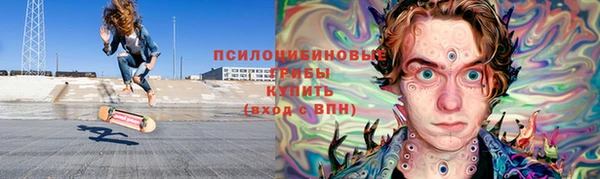 гидропоника Дегтярск