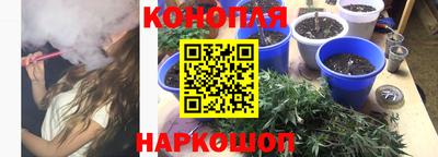 молекула духа Гагарин