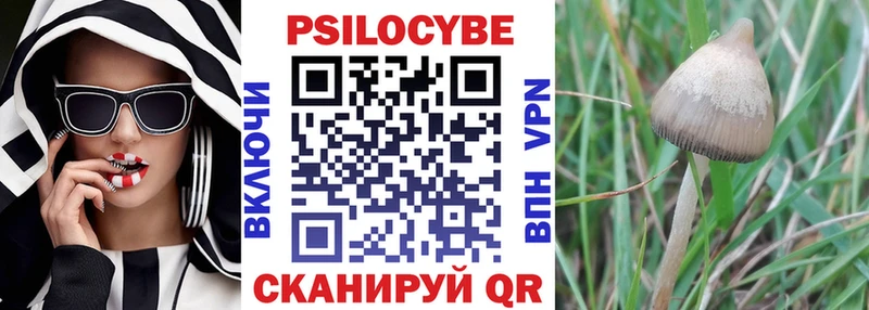 закладка  Зеленодольск  Галлюциногенные грибы прущие грибы 