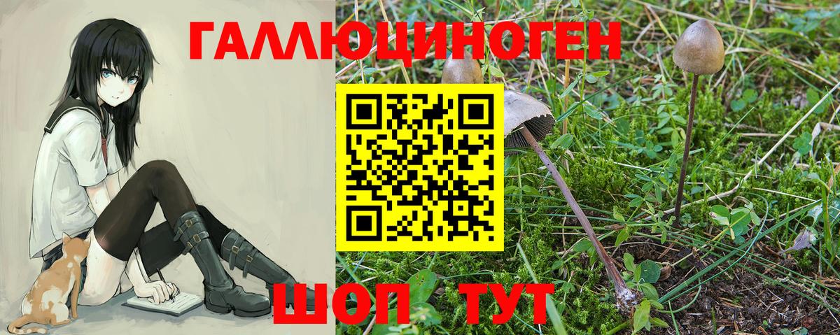Галлюциногенные грибы мицелий Зеленодольск